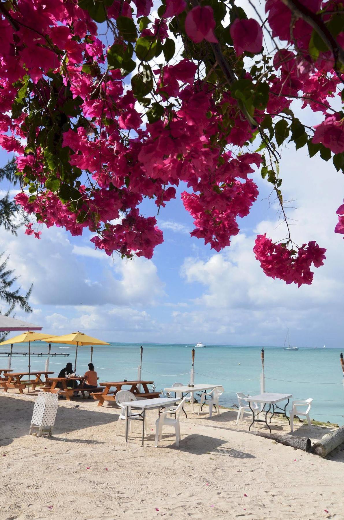 The Settlement Anegada Reef Hotel מראה חיצוני תמונה
